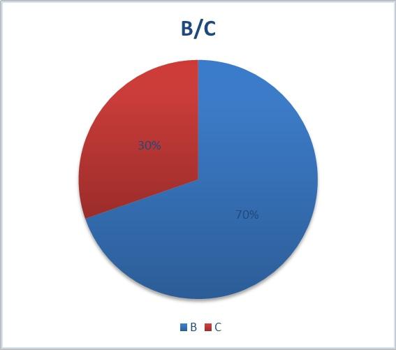 B.C. 买家占比, B 类批发为主, 占比达到 70%。